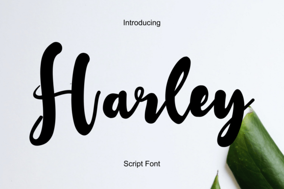 Harley: A Handwritten Font for Modern Designers