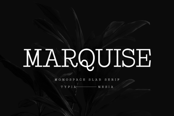 Marquise Slab Serif Font: A Modern Classic for Brand Identity